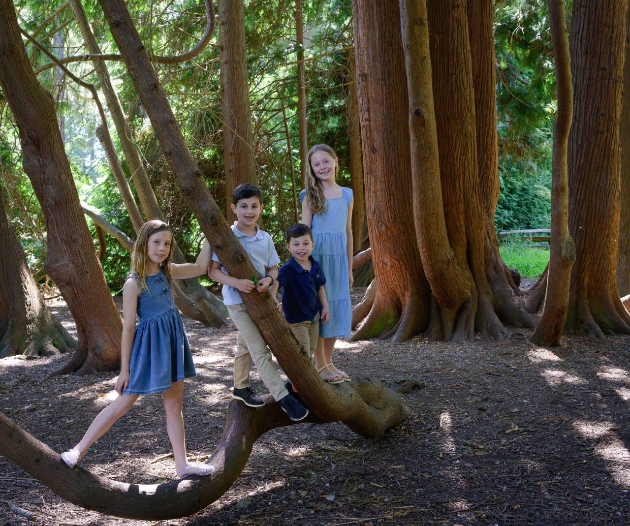 Beacon Hill Sheroyne photo shoot