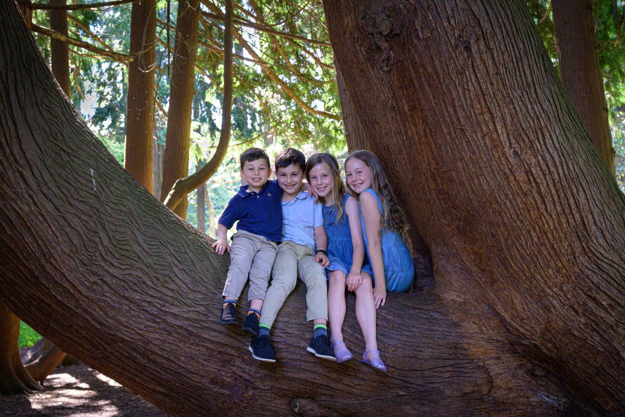 Beacon Hill Sheroyne photo shoot