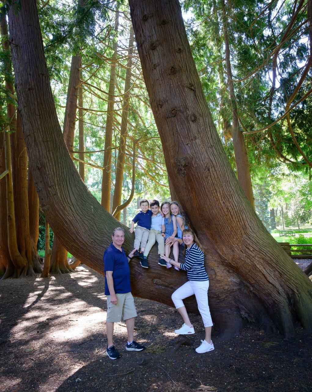 Beacon Hill Sheroyne photo shoot