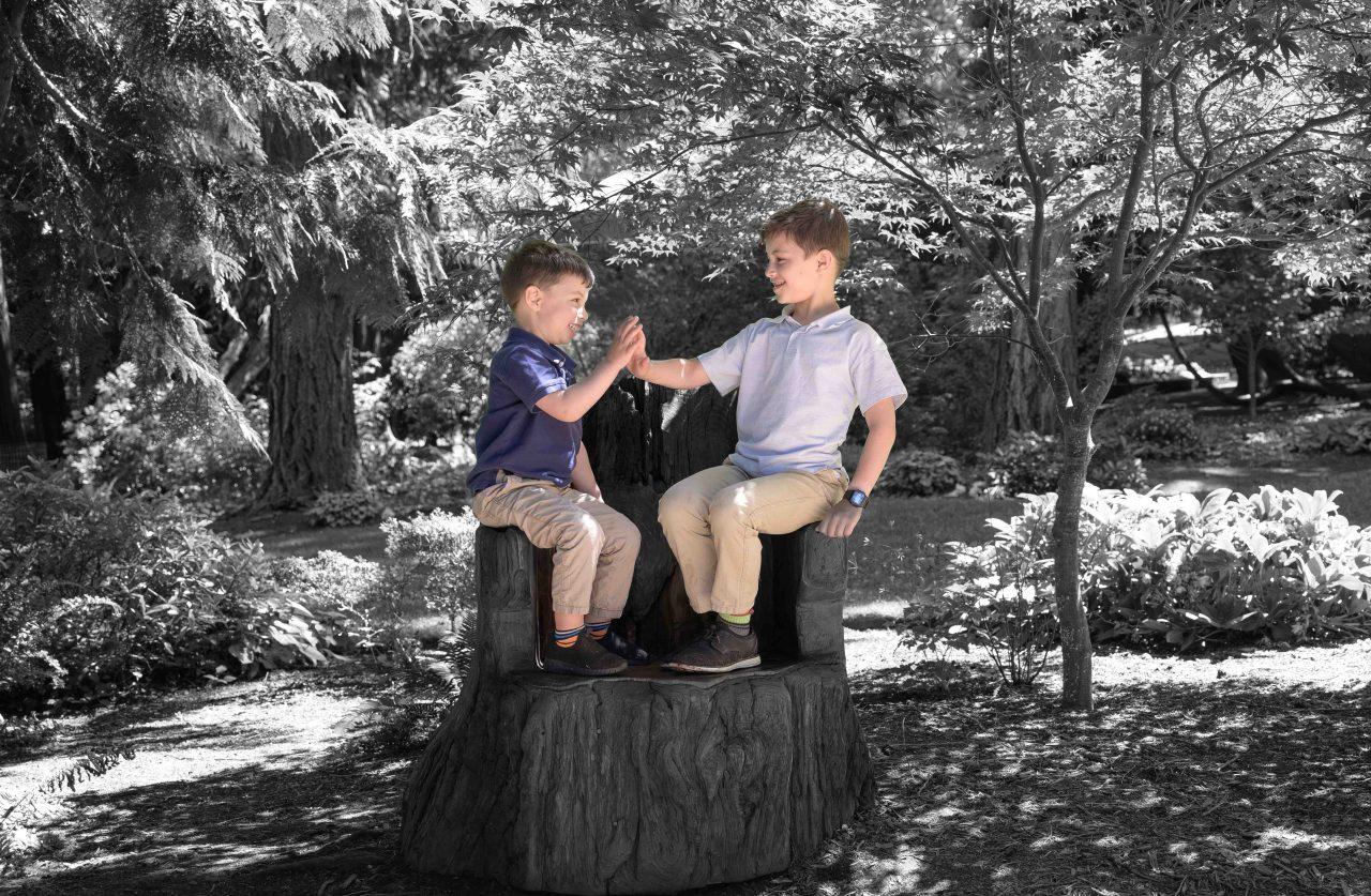 Beacon Hill Sheroyne photo shoot